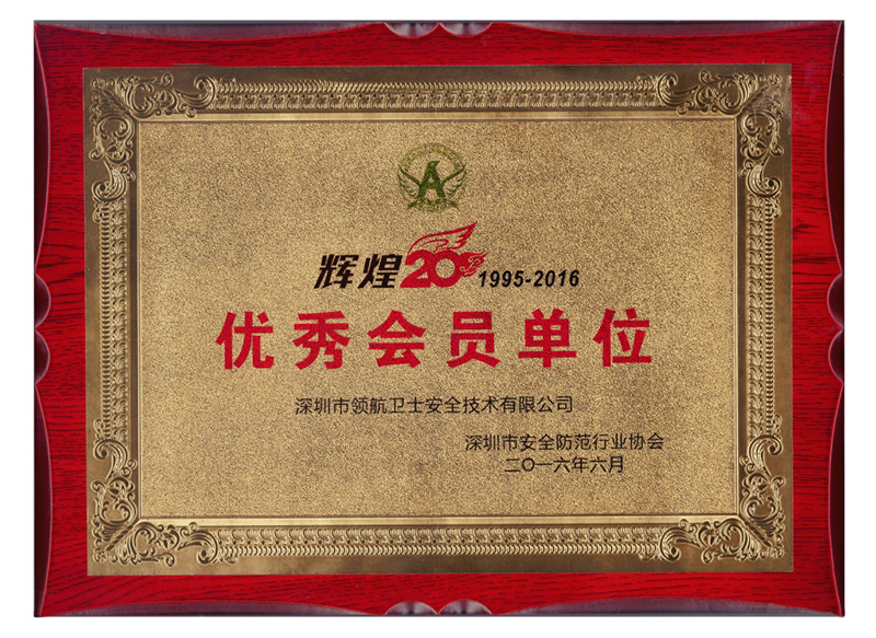 企業(yè)獎(jiǎng)狀 6